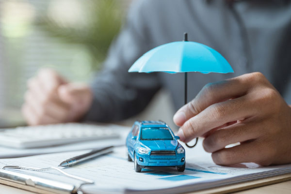 Asset Protection